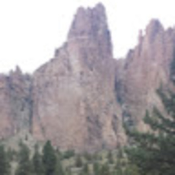 Meet your Posher, Carly - Picture 1 of 1